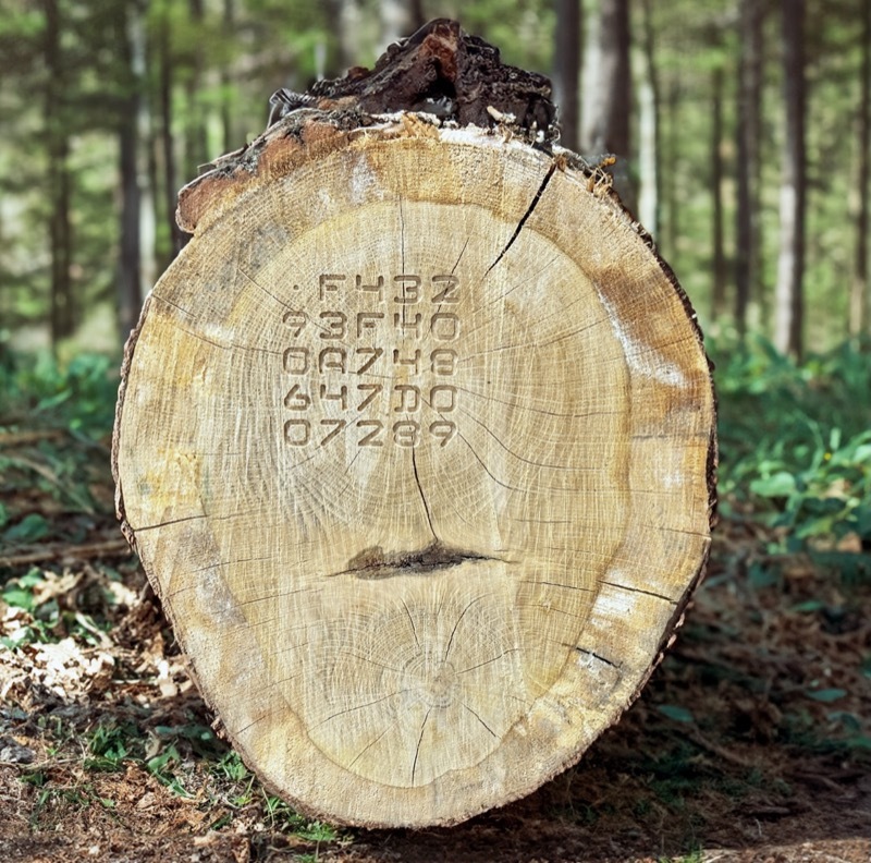 Dcode timber provenance proof - geolocation reference linked to forest plot