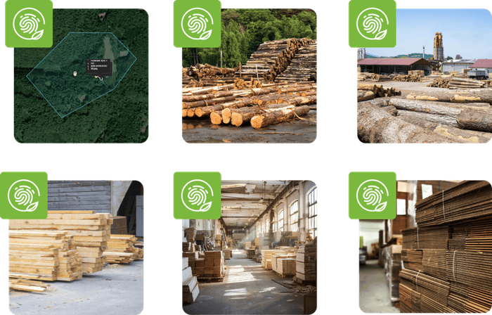 Dcode First Mile geolocalisation - supply chain tracking from forest to delivery